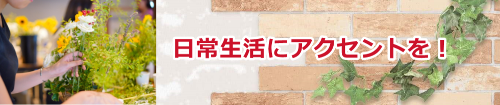 ���퐶���ɃA�N�Z���g���I